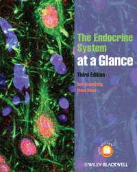 The Endocrine System at a Glance,  audiobook. ISDN33823070