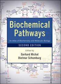 Biochemical Pathways. An Atlas of Biochemistry and Molecular Biology,  audiobook. ISDN33823110