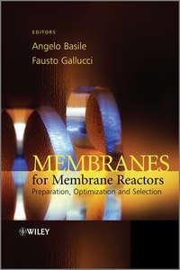 Membranes for Membrane Reactors. Preparation, Optimization and Selection,  audiobook. ISDN33825126