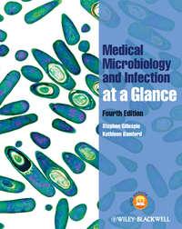 Medical Microbiology and Infection at a Glance - Bamford Kathleen