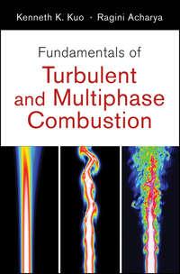 Fundamentals of Turbulent and Multi-Phase Combustion - Acharya Ragini