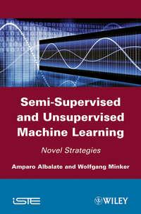 Semi-Supervised and Unsupervised Machine Learning. Novel Strategies,  audiobook. ISDN33828478