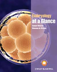 Embryology at a Glance,  audiobook. ISDN33828838