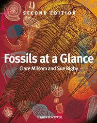 Fossils at a Glance,  audiobook. ISDN33828934