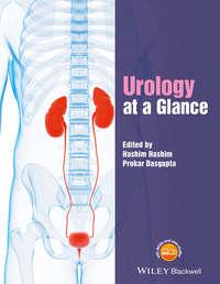 Urology at a Glance, Hashim  Hashim audiobook. ISDN33830262