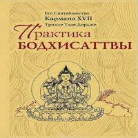 Практика Бодхисаттвы, аудиокнига Тринле Тхае Дордже Кармапа XVII. ISDN33947422