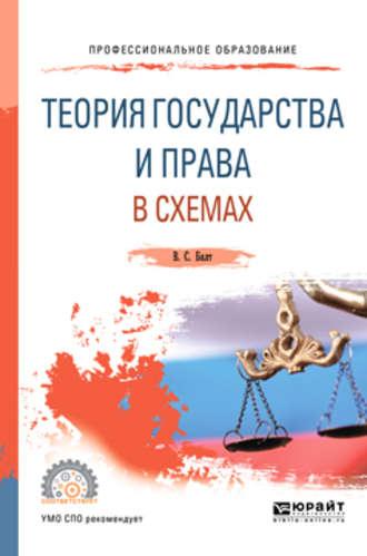 Теория государства и права в схемах. Учебное пособие для СПО - Виктор Бялт