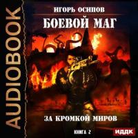 Боевой маг. За кромкой миров, audiobook Игоря Осипова. ISDN34355039
