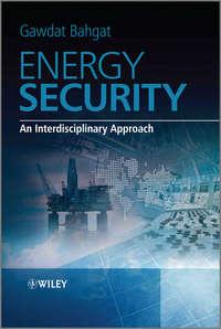 Energy Security. An Interdisciplinary Approach - Gawdat Bahgat