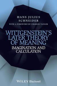 Wittgensteins Later Theory of Meaning. Imagination and Calculation - Hans Schneider