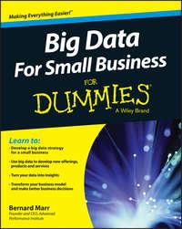 Big Data For Small Business For Dummies, Бернарда Марра książka audio. ISDN34412838