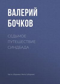 Седьмое путешествие Синдбада, аудиокнига Валерия Бочкова. ISDN34468710