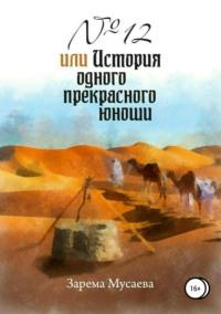 № 12, или История одного прекрасного юноши, аудиокнига Заремы Салхудиновны Мусаевой. ISDN34710134