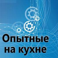 Опытные на кухне №001, audiobook Евгения Плешивцева. ISDN34998079