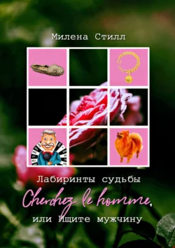 Лабиринты судьбы. Cherchez lе homme, или Ищите мужчину - Милена Стилл