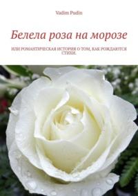 Белела роза на морозе. Или романтическая история о том, как рождаются стихи, audiobook . ISDN35735119