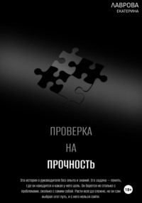 Проверка на прочность, audiobook Екатерины Лавровой. ISDN36076195