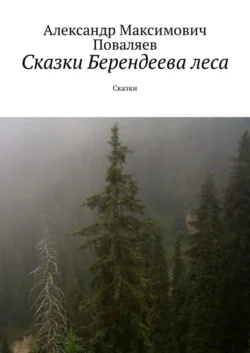 Сказки Берендеева леса. Сказки, аудиокнига Александра Максимовича Поваляева. ISDN36079303