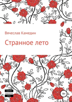 Странное лето - Вячеслав Камедин