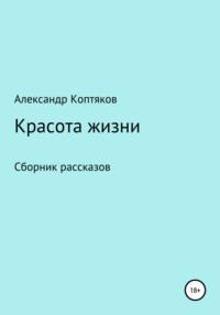 Красота жизни. Сборник рассказов - Александр Коптяков