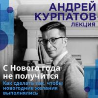 С Нового года не получится, audiobook Андрея Курпатова. ISDN37661087