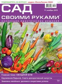 Сад Своими Руками 11-2015 - Редакция журнала Сад Своими Руками