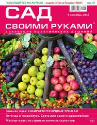 Сад Своими Руками 09 - Редакция журнала Сад Своими Руками