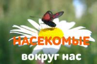 Как охотятся пауки?, audiobook Новосад Екатерины. ISDN38189113