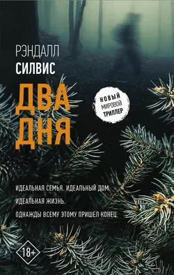 Два дня, audiobook Рэндалла Силвис. ISDN38304253