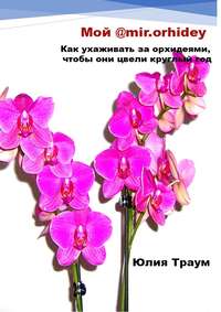 Мой @mir.orhidey. Как ухаживать за орхидеями, чтобы они цвели круглый год - Юлия Траум