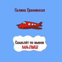 Самолёт по имени Малыш, аудиокнига Галины Грановской. ISDN38577087