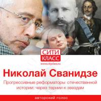 Прогрессивные реформаторы отечественной истории: через тернии к звездам, аудиокнига Николая Сванидзе. ISDN38674188