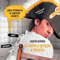 Из морга в дурдом и обратно (сборник), аудиокнига Андрея Шляхова. ISDN38840351