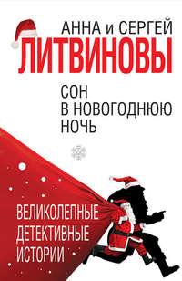 Сон в новогоднюю ночь (сборник), аудиокнига Анны и Сергея Литвиновых. ISDN38978087