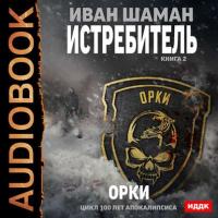 Истребитель 2: Орки, książka audio Ивана Шамана. ISDN39002833