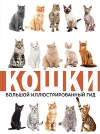 Кошки, książka audio Н. Н. Непомнящего. ISDN39112380