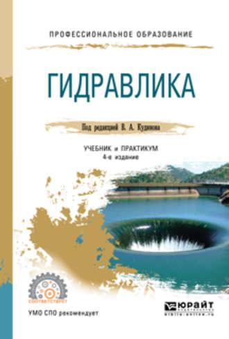 Гидравлика 4-е изд., пер. и доп. Учебник и практикум для СПО - Василий Кудинов