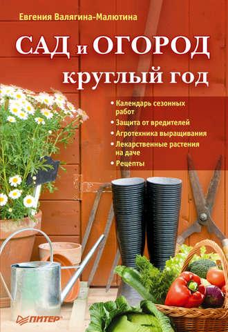 Сад и огород круглый год - Евгения Валягина-Малютина