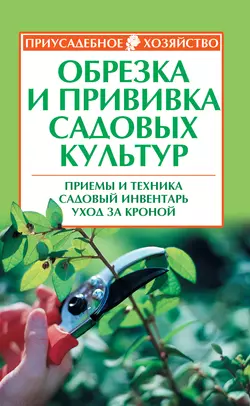 Обрезка и прививка садовых культур: приемы и техника, садовый инвентарь, уход за кроной - Роман Кудрявец