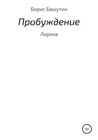 Пробуждение, аудиокнига Бориса Валерьевича Башутина. ISDN39409635