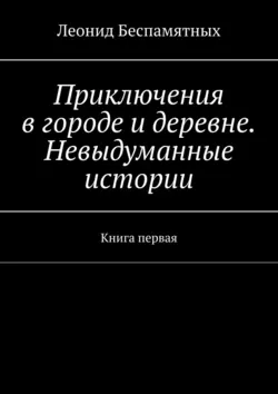 Приключения в городе и деревне. Невыдуманные истории. Книга первая, audiobook Леонида Беспамятных. ISDN39412251