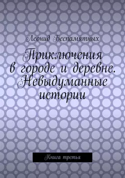 Приключения в городе и деревне. Невыдуманные истории. Книга третья - Леонид Беспамятных