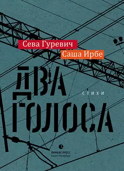 Два голоса, audiobook Саши Ирбе. ISDN39419899