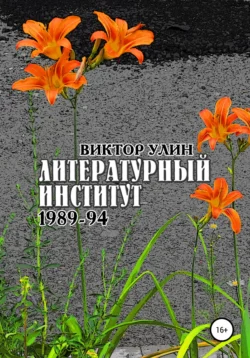 Литературный институт - Виктор Улин