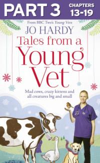Tales from a Young Vet: Part 3 of 3: Mad cows, crazy kittens, and all creatures big and small, Jo  Hardy аудиокнига. ISDN39747977
