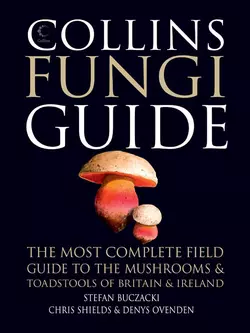 Collins Fungi Guide: The most complete field guide to the mushrooms and toadstools of Britain & Ireland - Stefan Buczacki