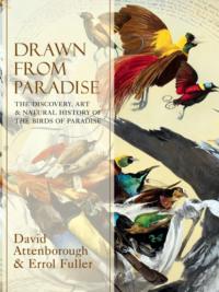 Drawn From Paradise: The Discovery, Art and Natural History of the Birds of Paradise - Errol Fuller