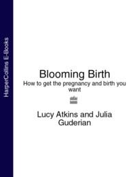 Blooming Birth: How to get the pregnancy and birth you want, Lucy  Atkins аудиокнига. ISDN39748673