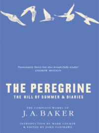 The Peregrine: The Hill of Summer & Diaries: The Complete Works of J. A. Baker, Mark  Cocker аудиокнига. ISDN39748913
