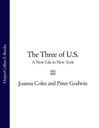 The Three of U.S.: A New Life in New York, Peter  Godwin аудиокнига. ISDN39749289